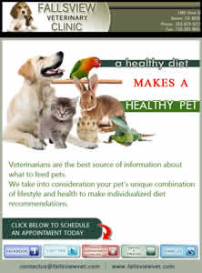 Veterinary Implants